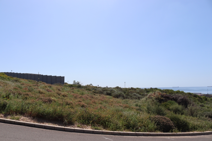 0 Bedroom Property for Sale in Steenbergs Cove Western Cape